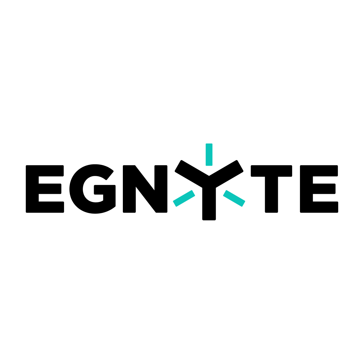 Egnyte